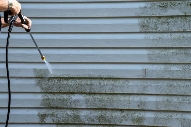 Best Dumpster Rental Services  in Dalton, PA