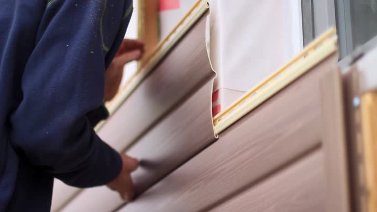 Best Hoarding Cleanup  in Dalton, PA